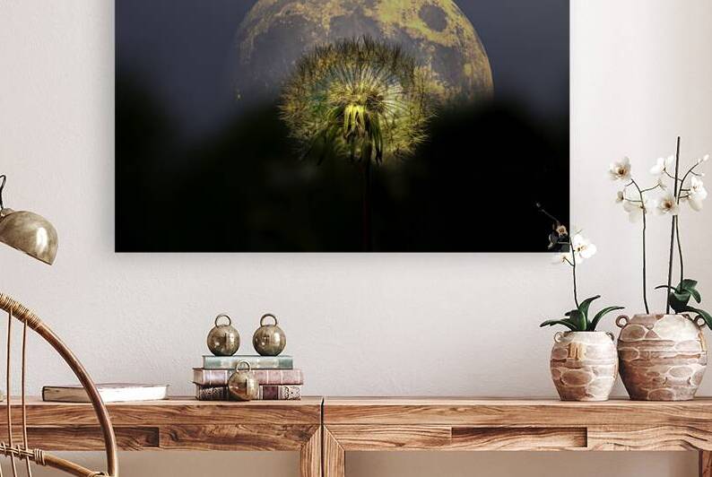 JBS 4981  by James Shedden Photography