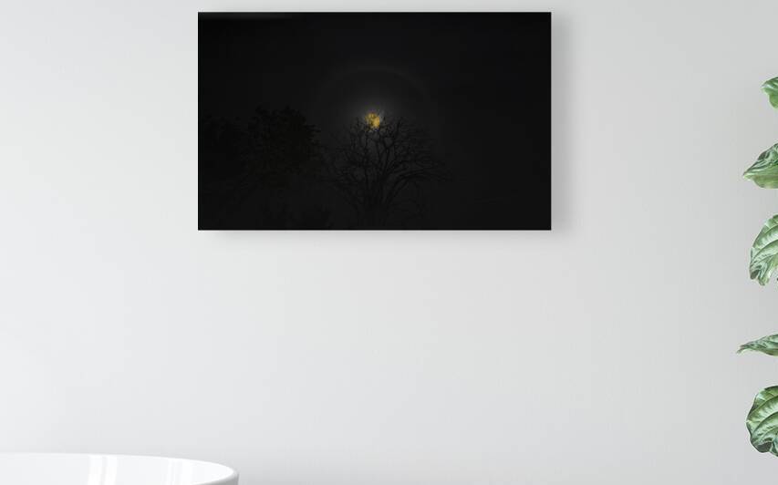 JBS 6094 by James Shedden Photography