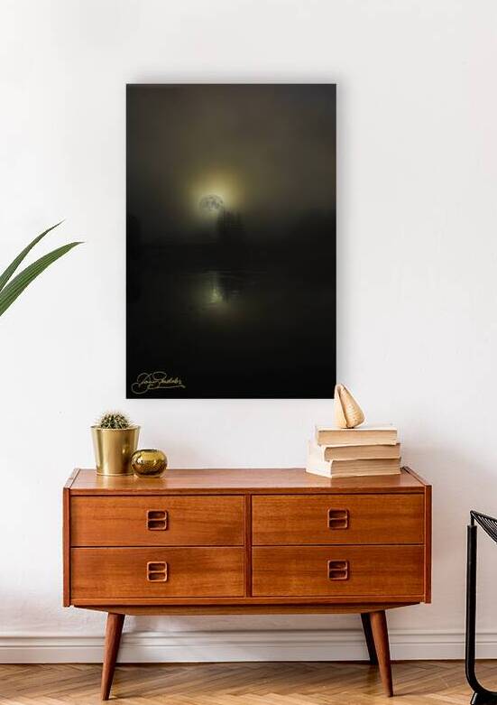 JBS 4756  by James Shedden Photography