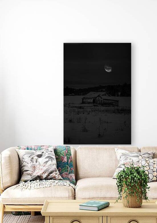 JBS 0143  by James Shedden Photography