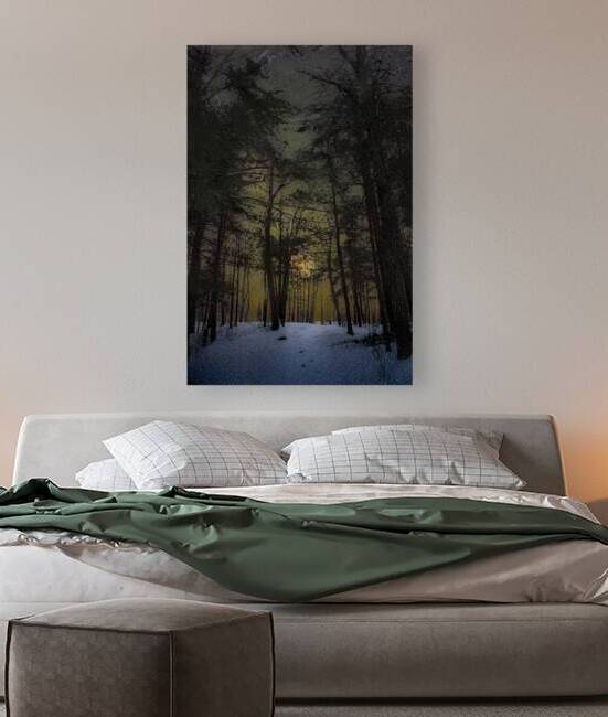 JBS 8747  by James Shedden Photography