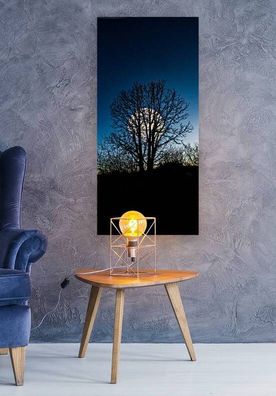 JBS 0046  by James Shedden Photography