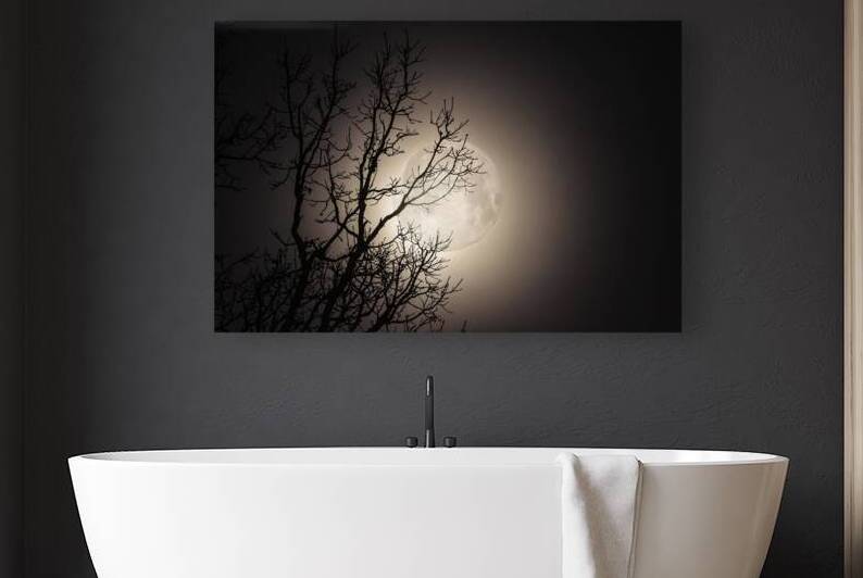 JBS 59702 by James Shedden Photography