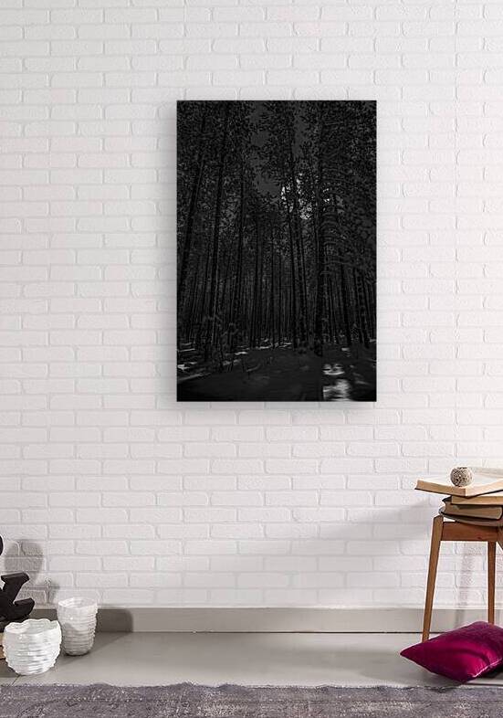 NIGHTWOODS by James Shedden Photography