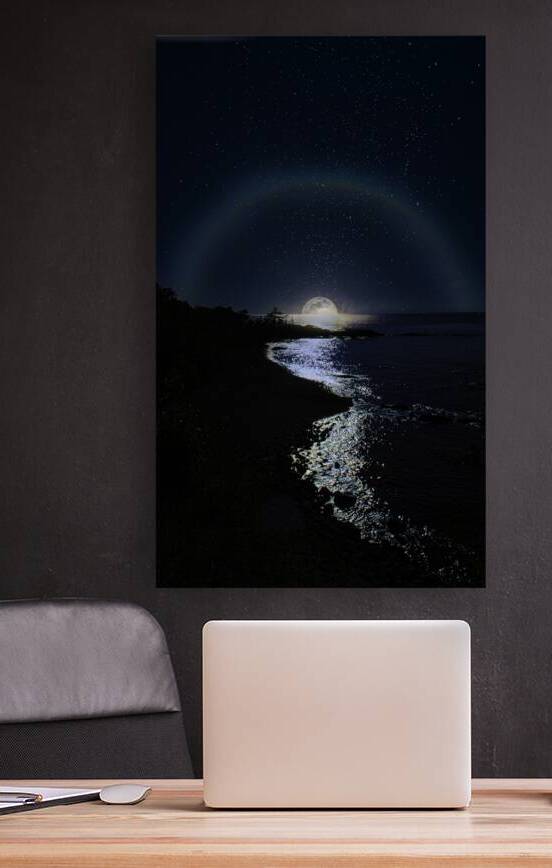 JBS 3166  by James Shedden Photography