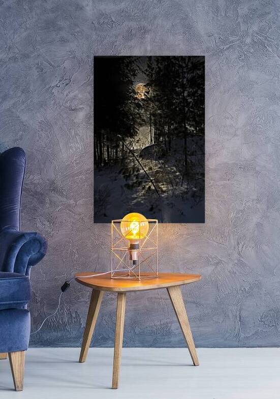 JBS 8757  by James Shedden Photography