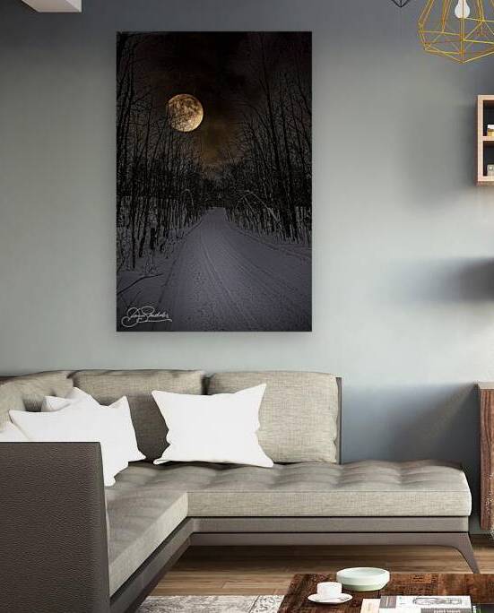 DSC 4177  by James Shedden Photography