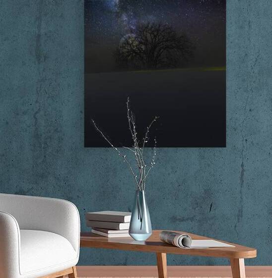 JBS 6098  by James Shedden Photography