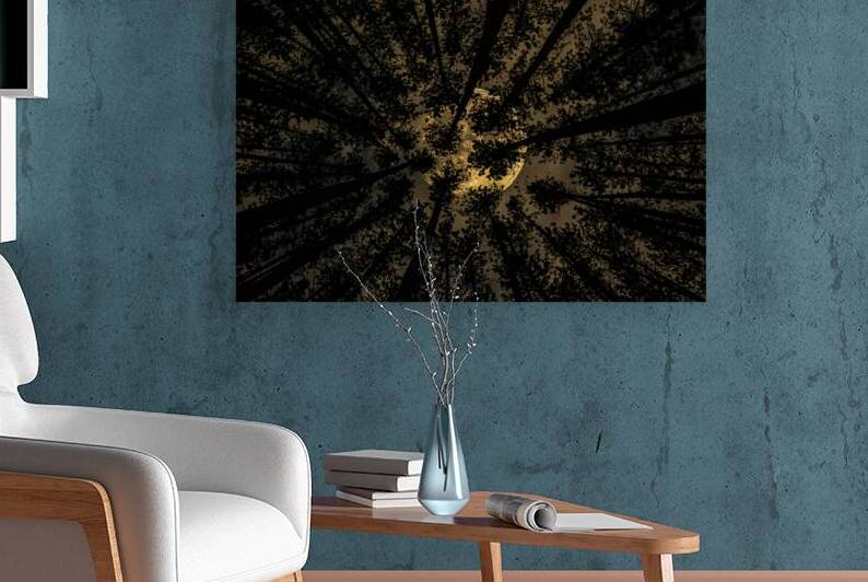 JBS 5549  by James Shedden Photography