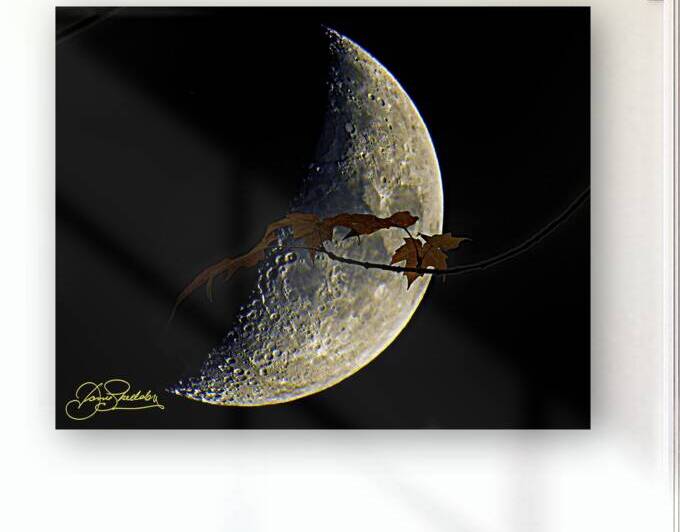 JBS 3686  by James Shedden Photography