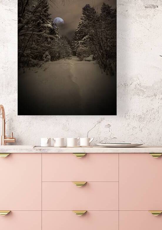 Z62 0235 2  by James Shedden Photography