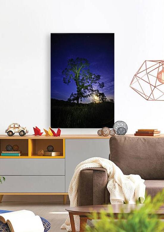 JBS 3408 by James Shedden Photography