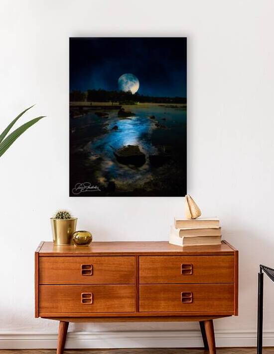 JBS 4708  by James Shedden Photography