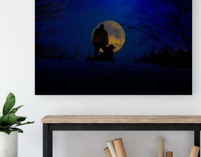 JBS 9674  by James Shedden Photography