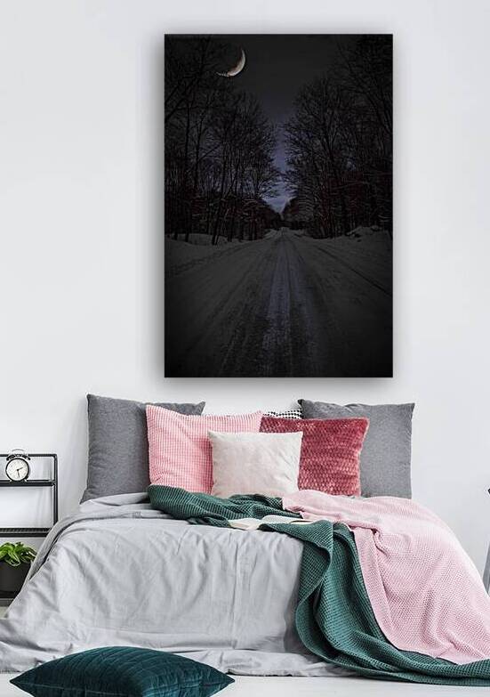 ZJS 6317  by James Shedden Photography