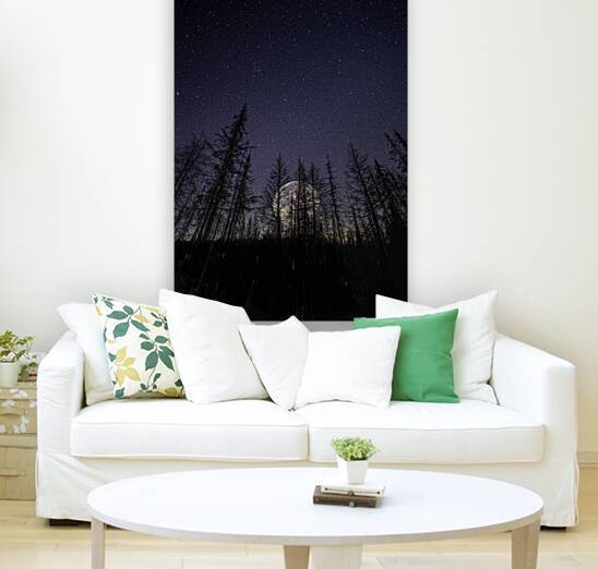 JBS 0765 by James Shedden Photography