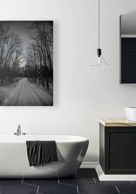 JBS 0236  by James Shedden Photography