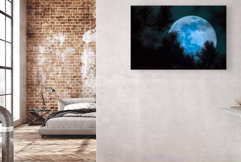 JBS 0093  by James Shedden Photography