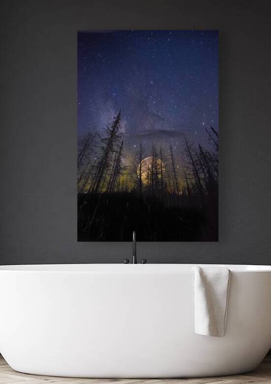 JBS 07652 by James Shedden Photography