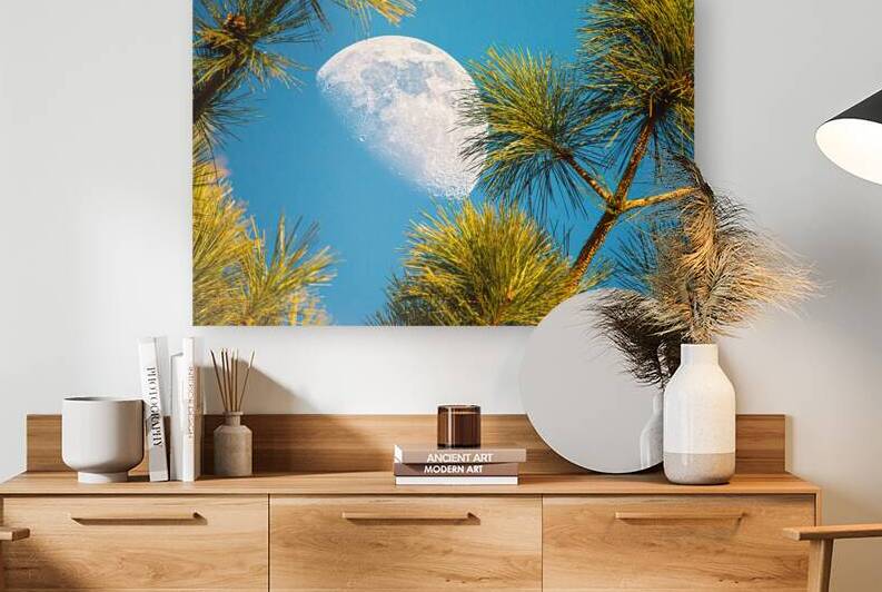 JBS 9958  by James Shedden Photography