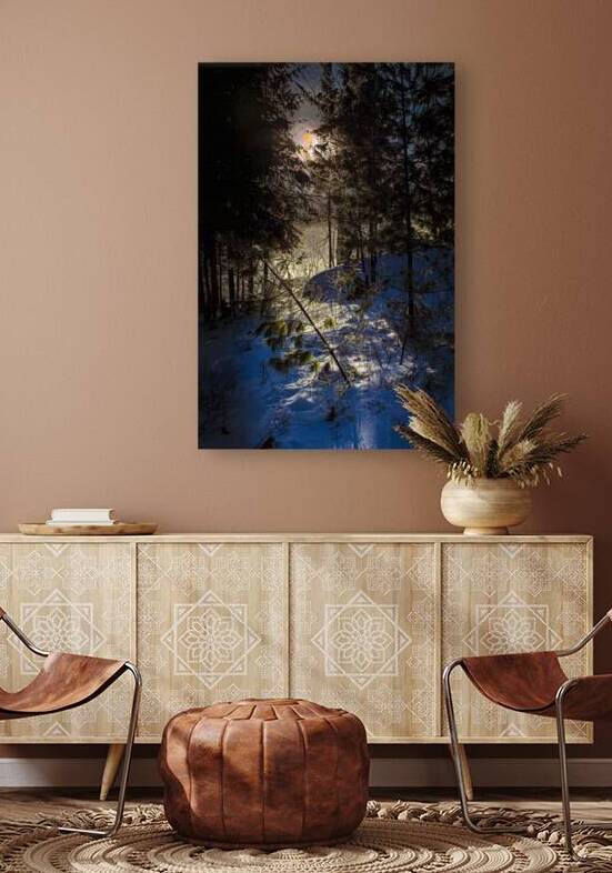 JBS 8757  by James Shedden Photography