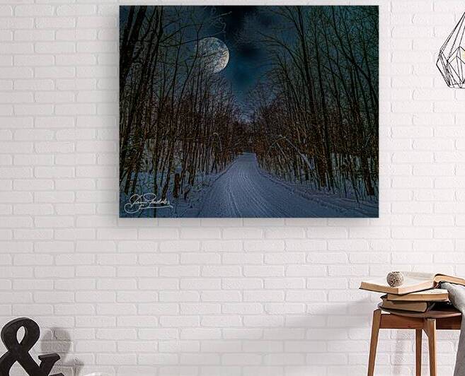 DSC 4175  by James Shedden Photography