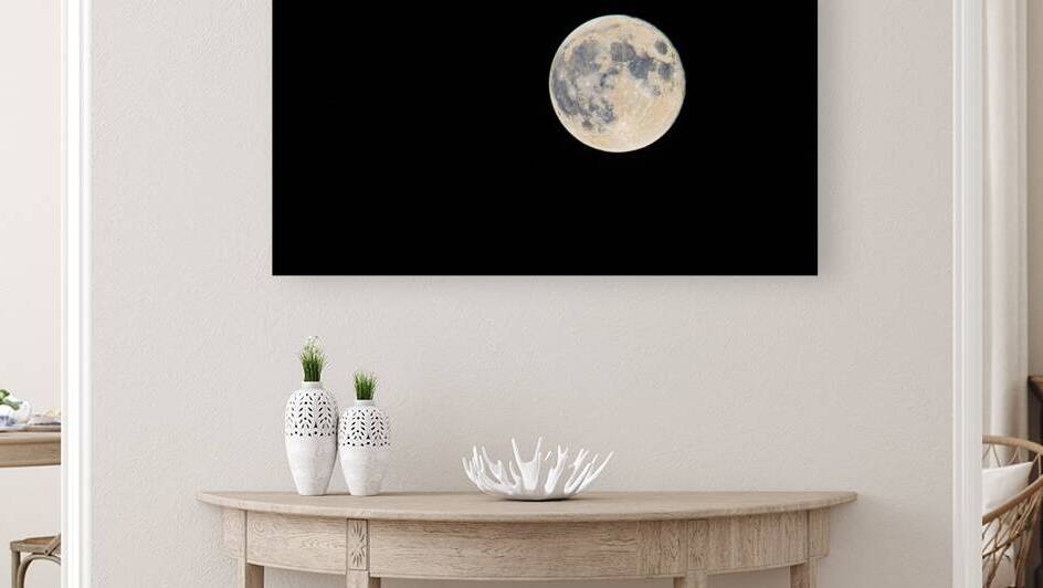 DSC 5705  by James Shedden Photography