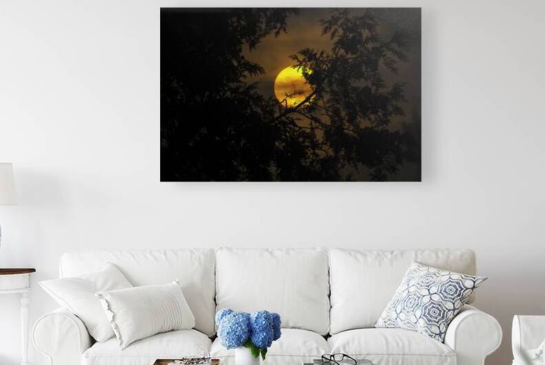 JBS 3573  by James Shedden Photography