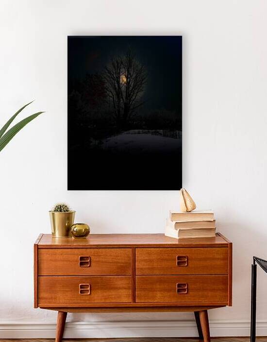 JBS 8045 by James Shedden Photography