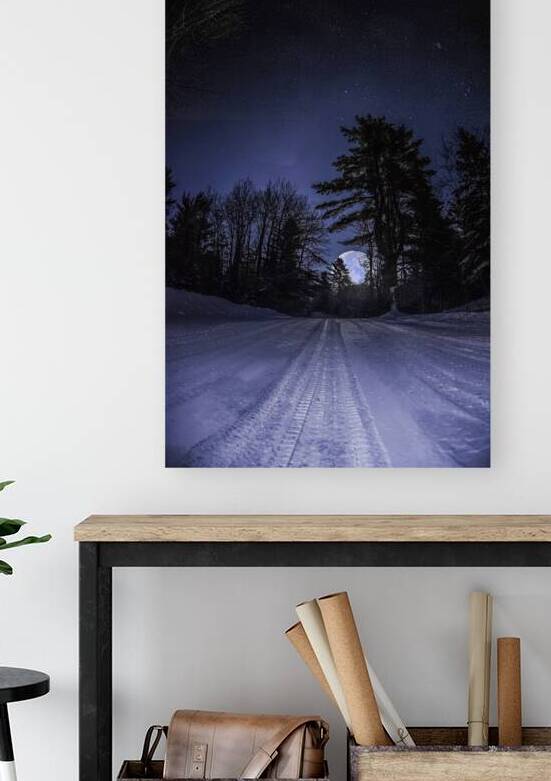 JBS 3472  by James Shedden Photography