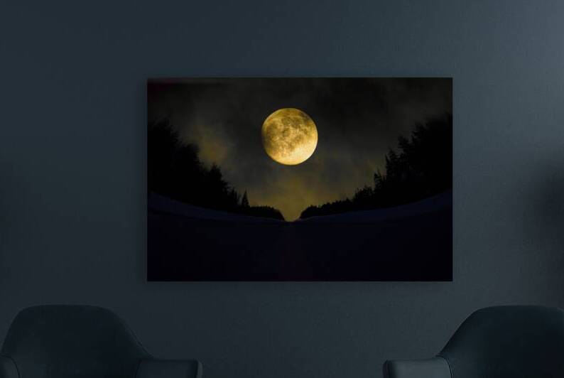 JBS 4093  by James Shedden Photography