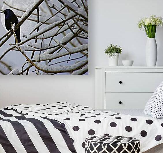 JBS 0164  by James Shedden Photography