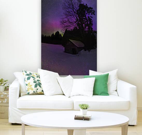 JBS 5676 by James Shedden Photography