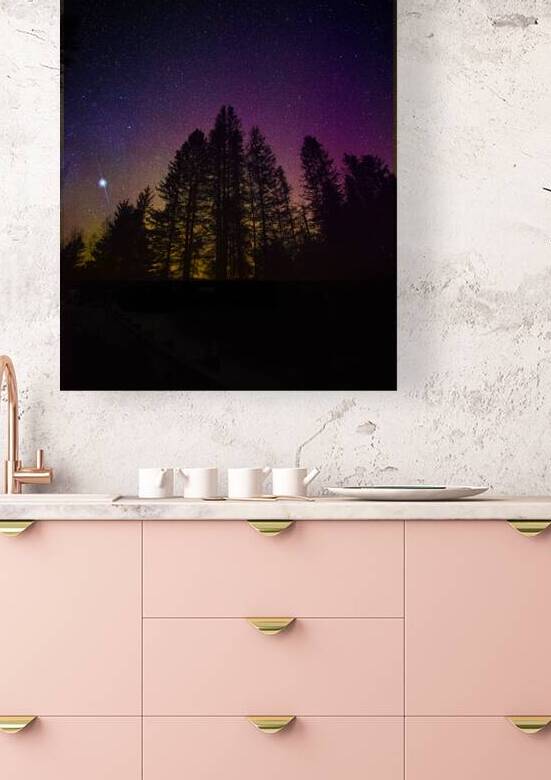 JBS 9713 by James Shedden Photography