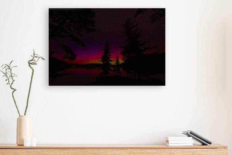 JBS 6258  by James Shedden Photography