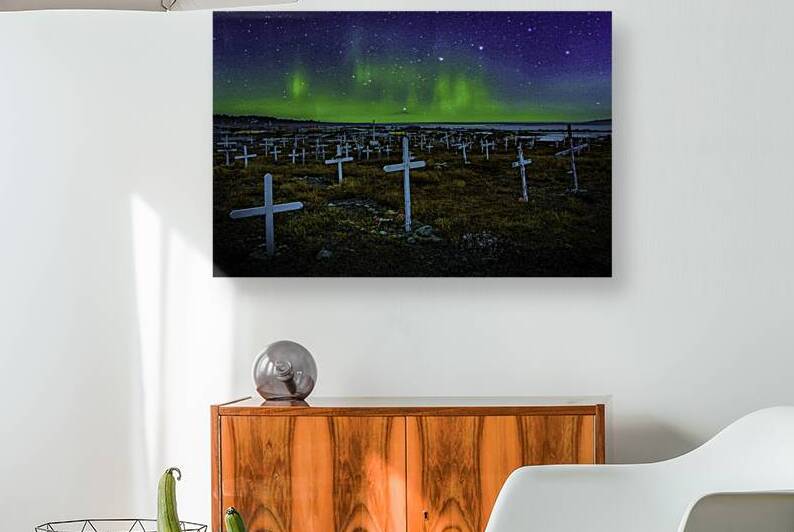 JBS 6175  by James Shedden Photography