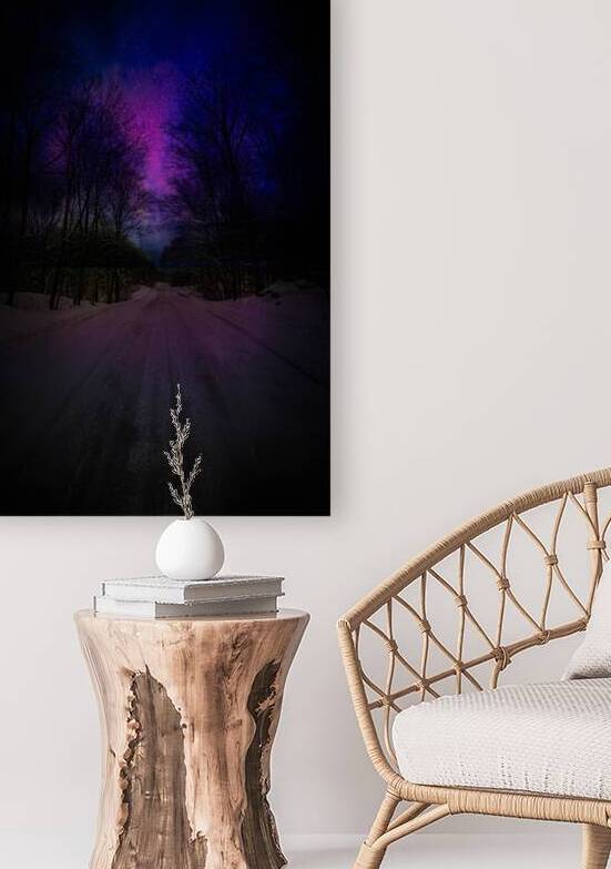 ZJS 6317  by James Shedden Photography