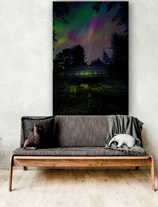 JBS 6232  by James Shedden Photography