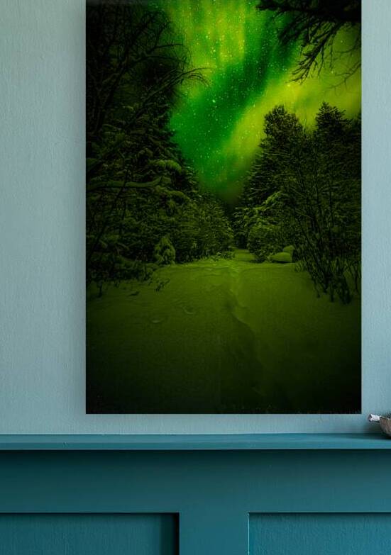 Z62 0234 2  by James Shedden Photography