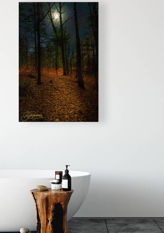 DSC 3665 1 by James Shedden Photography