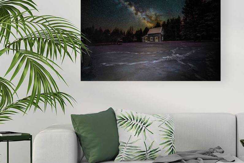 DSC 3944  by James Shedden Photography