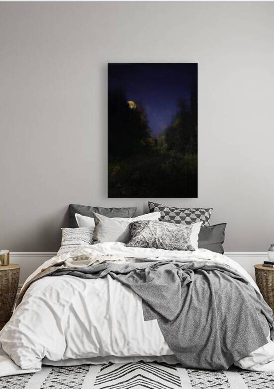 DSC 5763  by James Shedden Photography