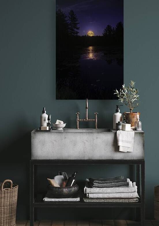 DSC 5746  by James Shedden Photography