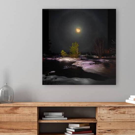 DSC 4341  by James Shedden Photography