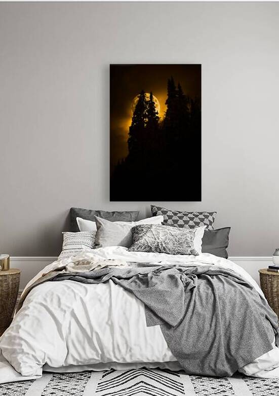 CRC 0731 by James Shedden Photography