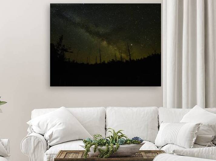 CRC 1490 by James Shedden Photography