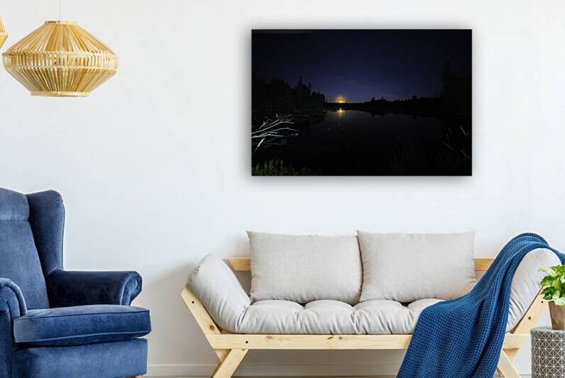 DSC 5719  by James Shedden Photography