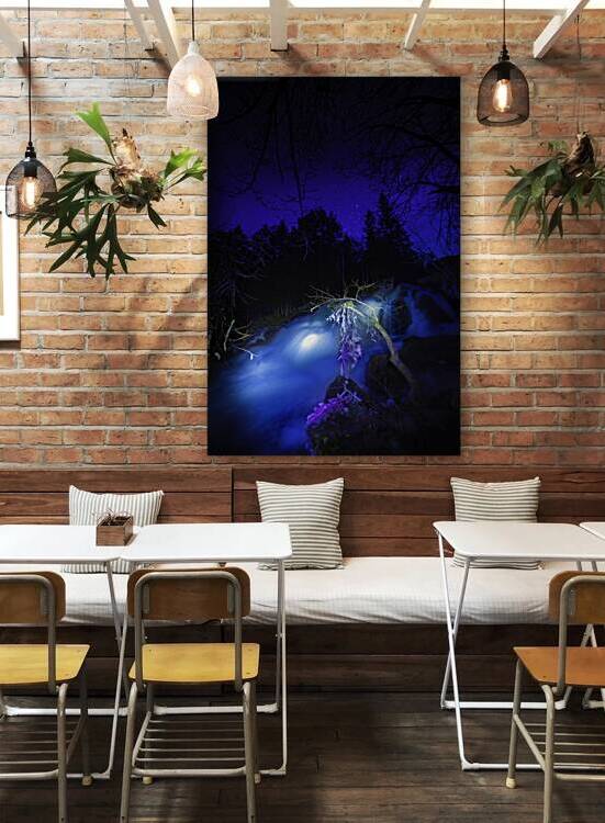 JBS 0689  by James Shedden Photography