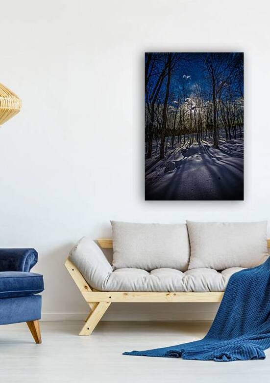 JBS 0402  by James Shedden Photography