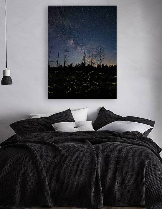 ff5 2 by James Shedden Photography